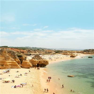 KOKapp手机app下载